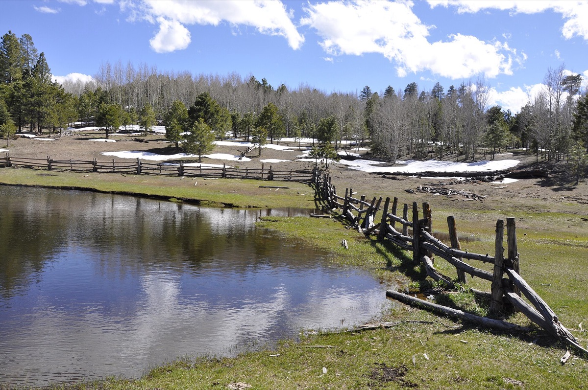 Projet de restauration forestière