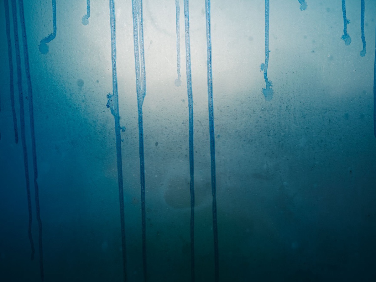 refrigerator with water dripping